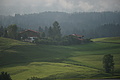 DSC05595 - Bernhard Saalfeld