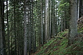 DSC05627 - Bernhard Saalfeld