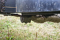 DSC05630 - Bernhard Saalfeld