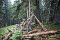 DSC05643 - Bernhard Saalfeld