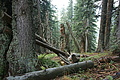 DSC05647 - Bernhard Saalfeld