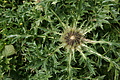 DSC05659 - Bernhard Saalfeld