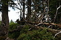 DSC05662 - Bernhard Saalfeld