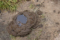 DSC05664 - Bernhard Saalfeld