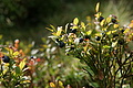 DSC05667 - Bernhard Saalfeld