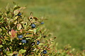 DSC05683 - Bernhard Saalfeld