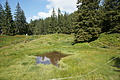 DSC05685 - Bernhard Saalfeld