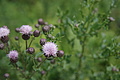 DSC05686 - Bernhard Saalfeld