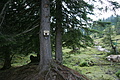 DSC05695 - Bernhard Saalfeld