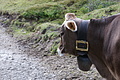DSC05697 - Bernhard Saalfeld