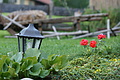 DSC05711 - Bernhard Saalfeld