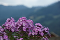 DSC05712 - Bernhard Saalfeld
