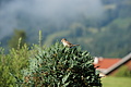DSC05716 - Bernhard Saalfeld