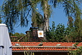 DSC05720 - Bernhard Saalfeld