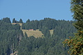DSC05722 - Bernhard Saalfeld