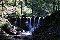 DSC05731 - Bernhard Saalfeld