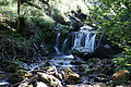 DSC05733 - Bernhard Saalfeld