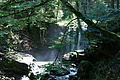 DSC05734 - Bernhard Saalfeld