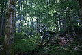 DSC05735 - Bernhard Saalfeld