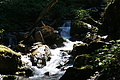 DSC05737 - Bernhard Saalfeld