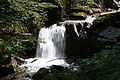 DSC05738 - Bernhard Saalfeld