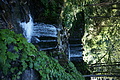 DSC05741 - Bernhard Saalfeld