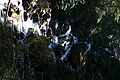 DSC05742 - Bernhard Saalfeld