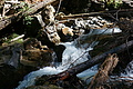 DSC05745 - Bernhard Saalfeld