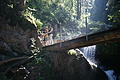 DSC05749 - Bernhard Saalfeld