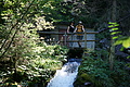 DSC05753 - Bernhard Saalfeld