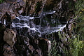 DSC05757 - Bernhard Saalfeld