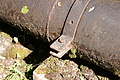 DSC05758 - Bernhard Saalfeld