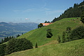 DSC05782 - Bernhard Saalfeld