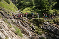 DSC05788 - Bernhard Saalfeld