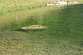 DSC05835 - Bernhard Saalfeld