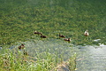 DSC05862 - Bernhard Saalfeld