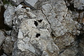 DSC05869 - Bernhard Saalfeld