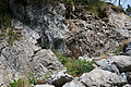 DSC05874 - Bernhard Saalfeld