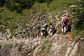 DSC05875 - Bernhard Saalfeld