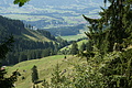 DSC05877 - Bernhard Saalfeld
