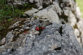 DSC05879 - Bernhard Saalfeld