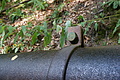 DSC05885 - Bernhard Saalfeld