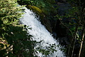 DSC05887 - Bernhard Saalfeld
