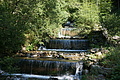 DSC05888 - Bernhard Saalfeld