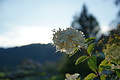DSC05895 - Bernhard Saalfeld
