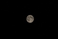 DSC05916 - Bernhard Saalfeld