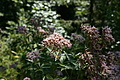 DSC05953 - Bernhard Saalfeld