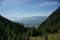 DSC05961 - Bernhard Saalfeld