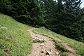 DSC05963 - Bernhard Saalfeld