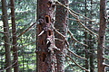 DSC05966 - Bernhard Saalfeld